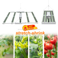 /msite/products/detail/productid/62240075/id/1359425.html